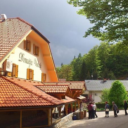 Domacija Vodnik & Apartments Церклє-на-Горенськем Екстер'єр фото