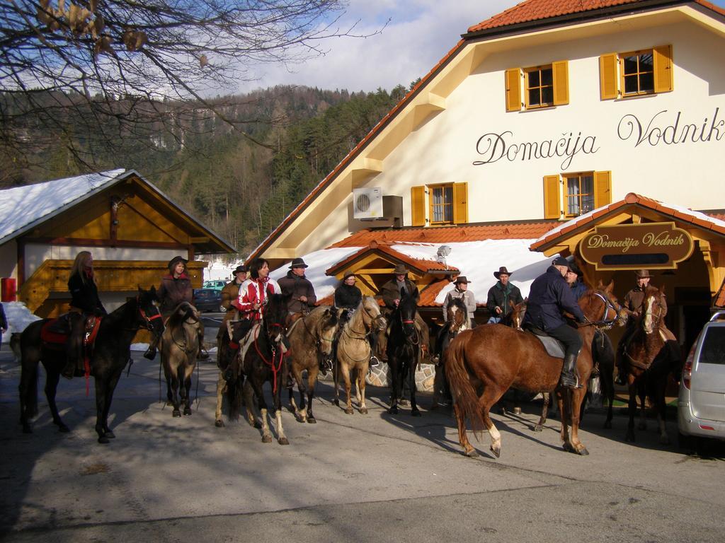 Domacija Vodnik & Apartments Церклє-на-Горенськем Екстер'єр фото