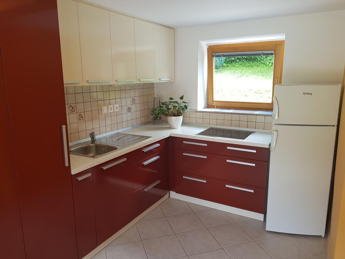 Domacija Vodnik & Apartments Церклє-на-Горенськем Екстер'єр фото