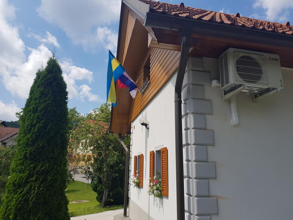 Domacija Vodnik & Apartments Церклє-на-Горенськем Екстер'єр фото